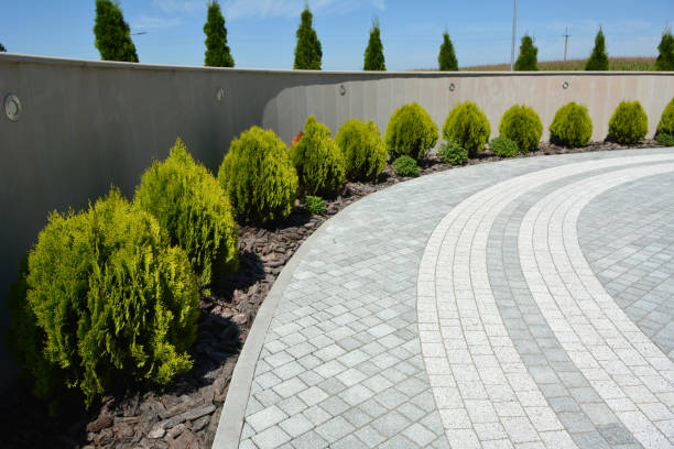 Best Driveway Paving Contractor  in Daniels Farm, CT